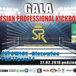 Liga PLK i Gala spk_27.02.2016 - Katowice